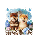 良く使う言葉の柴犬とスイーツ☆。.:＊・゜（個別スタンプ：10）