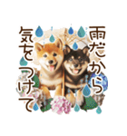良く使う言葉の柴犬とスイーツ☆。.:＊・゜（個別スタンプ：11）
