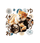 良く使う言葉の柴犬とスイーツ☆。.:＊・゜（個別スタンプ：12）
