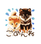 良く使う言葉の柴犬とスイーツ☆。.:＊・゜（個別スタンプ：16）