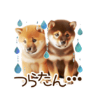 良く使う言葉の柴犬とスイーツ☆。.:＊・゜（個別スタンプ：23）