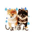 良く使う言葉の柴犬とスイーツ☆。.:＊・゜（個別スタンプ：24）