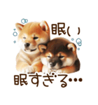 良く使う言葉の柴犬とスイーツ☆。.:＊・゜（個別スタンプ：33）