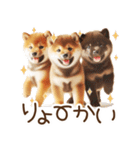 良く使う言葉の柴犬とスイーツ☆。.:＊・゜（個別スタンプ：36）