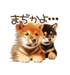 良く使う言葉の柴犬とスイーツ☆。.:＊・゜（個別スタンプ：37）