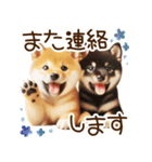 良く使う言葉の柴犬とスイーツ☆。.:＊・゜（個別スタンプ：38）