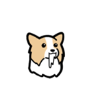 ボーダーコリーが伝えてくる！！（個別スタンプ：11）