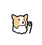 ボーダーコリーが伝えてくる！！（個別スタンプ：15）