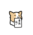 ボーダーコリーが伝えてくる！！（個別スタンプ：24）