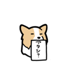 ボーダーコリーが伝えてくる！！（個別スタンプ：26）