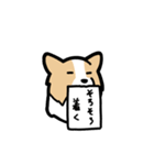 ボーダーコリーが伝えてくる！！（個別スタンプ：29）