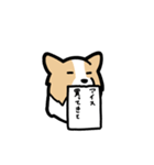 ボーダーコリーが伝えてくる！！（個別スタンプ：32）