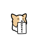 ボーダーコリーが伝えてくる！！（個別スタンプ：37）