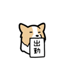 ボーダーコリーが伝えてくる！！（個別スタンプ：38）
