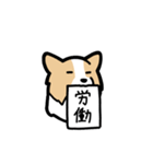 ボーダーコリーが伝えてくる！！（個別スタンプ：39）