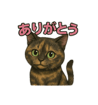 サビィのきまぐれスタンプ（個別スタンプ：1）