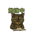 サビィのきまぐれスタンプ（個別スタンプ：5）