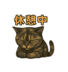 サビィのきまぐれスタンプ（個別スタンプ：7）