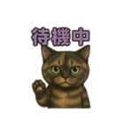 サビィのきまぐれスタンプ（個別スタンプ：8）