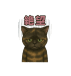 サビィのきまぐれスタンプ（個別スタンプ：13）
