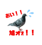 プレイズ界隈（個別スタンプ：6）