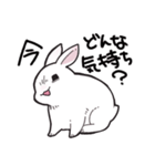 しろうさちゃんの日常スタンプ（個別スタンプ：3）