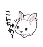 しろうさちゃんの日常スタンプ（個別スタンプ：4）