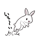 しろうさちゃんの日常スタンプ（個別スタンプ：10）