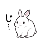 しろうさちゃんの日常スタンプ（個別スタンプ：12）