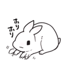 しろうさちゃんの日常スタンプ（個別スタンプ：15）