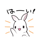 しろうさちゃんの日常スタンプ（個別スタンプ：19）