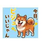 毎日使える！気持ち伝わる豆柴メッセージ（個別スタンプ：2）