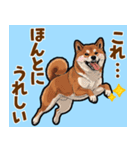 毎日使える！気持ち伝わる豆柴メッセージ（個別スタンプ：6）