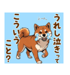 毎日使える！気持ち伝わる豆柴メッセージ（個別スタンプ：7）