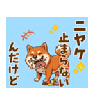 毎日使える！気持ち伝わる豆柴メッセージ（個別スタンプ：10）