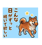 毎日使える！気持ち伝わる豆柴メッセージ（個別スタンプ：11）