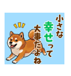 毎日使える！気持ち伝わる豆柴メッセージ（個別スタンプ：14）