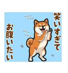 毎日使える！気持ち伝わる豆柴メッセージ（個別スタンプ：16）