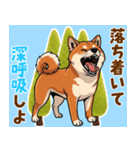 毎日使える！気持ち伝わる豆柴メッセージ（個別スタンプ：19）