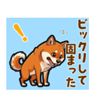 毎日使える！気持ち伝わる豆柴メッセージ（個別スタンプ：21）