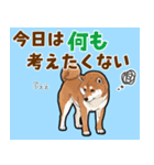 毎日使える！気持ち伝わる豆柴メッセージ（個別スタンプ：23）