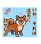 毎日使える！気持ち伝わる豆柴メッセージ（個別スタンプ：24）