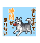 毎日使えるハスキーの気持ち伝えるスタンプ（個別スタンプ：3）