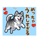 毎日使えるハスキーの気持ち伝えるスタンプ（個別スタンプ：4）