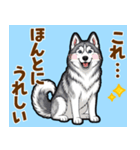 毎日使えるハスキーの気持ち伝えるスタンプ（個別スタンプ：6）