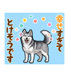 毎日使えるハスキーの気持ち伝えるスタンプ（個別スタンプ：8）