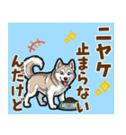 毎日使えるハスキーの気持ち伝えるスタンプ（個別スタンプ：10）