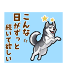 毎日使えるハスキーの気持ち伝えるスタンプ（個別スタンプ：11）