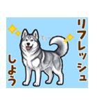 毎日使えるハスキーの気持ち伝えるスタンプ（個別スタンプ：19）