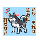 毎日使えるハスキーの気持ち伝えるスタンプ（個別スタンプ：23）
